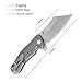 Kizer Cutlery Folding Pocket Knives Flipper Knife Titanium Handles Tactical EDC Knife, Zugang (Ki4439)