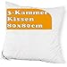 Produktbild Dedstore Kopfkissen 80x80 Daunen 3 Kammer Kissen - Allergiker Bettkissen mit Gänsedaunen - Pillow 140 g/m² Bezug 100% Baumwolle - Daunenkissen Federkissen Füllung 1600g Naturprodukt