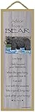 SJT ENTERPRISES, INC. Advice from a Bear Primitive Wood Plaque Sign, 5' x 15' - Licensed from Ilan...