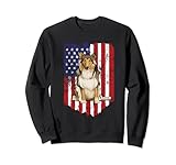 Drapeau Américain Colley Usa Sweatshirt