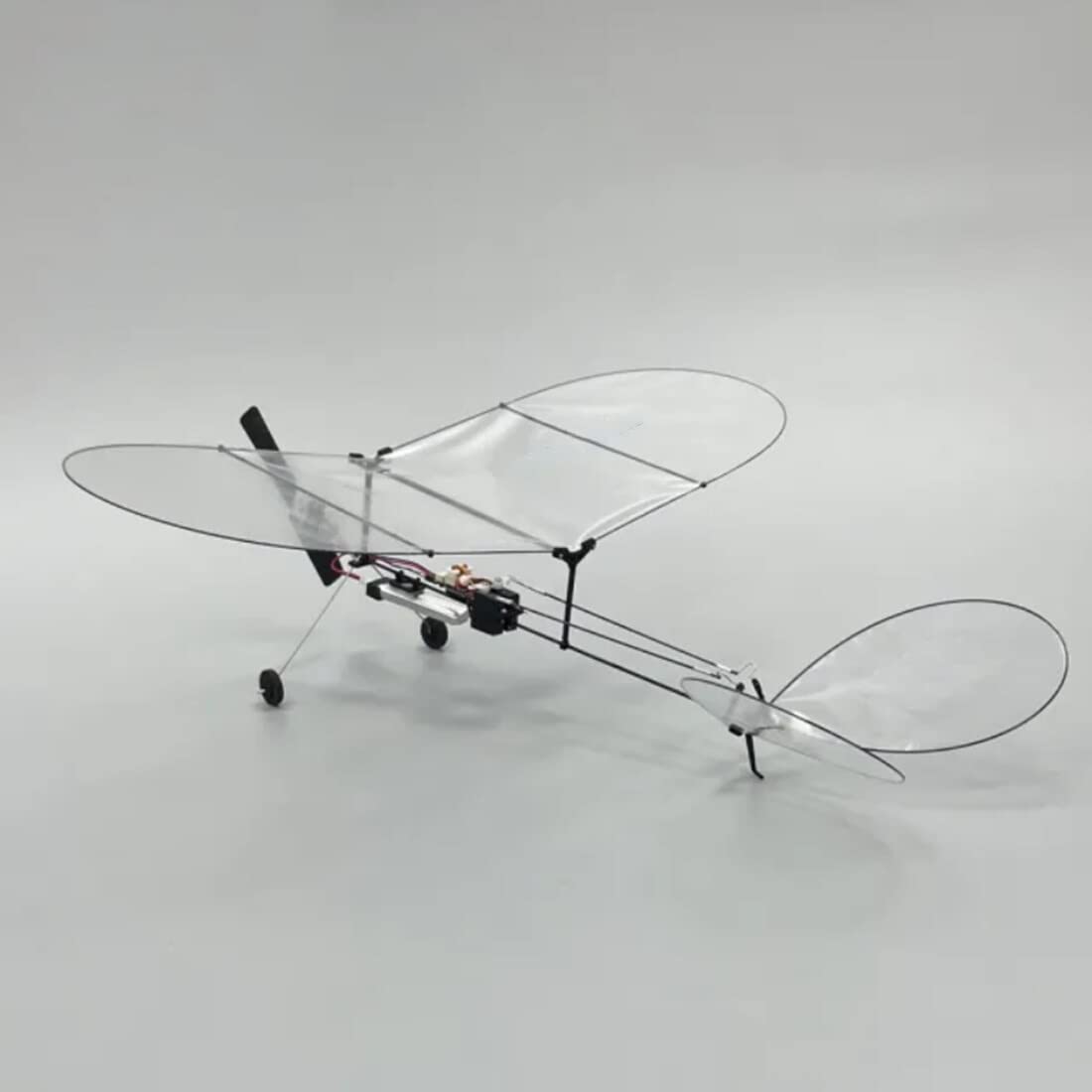 ✩.*˚RC✩.*˚ Amazon.com: PIONEERX Rc Airplane MinimumRC Butterfly V1 3CH
