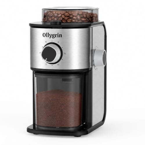 Flat Burr Coffee Grinder Electric, Coffee Grinder with 14 Grinding Levels, Burr Mill Grinder with Large Bean Hopper, Compact Design for Home&Office, Shiny Silver