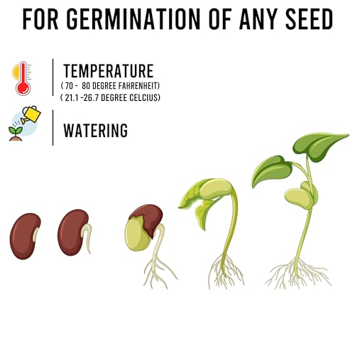 THUNDERBAY-GBSE Vegetable & Herb Seed Variety Pack of 37 Heirloom Sachets Approx. 5200 Seeds(100% Non GMO,37 Individually Packed Sachets, 37 Planting Tags) 37 sachets d'herbes et de légumes by THUNDERBAY-GBSE - Image 6