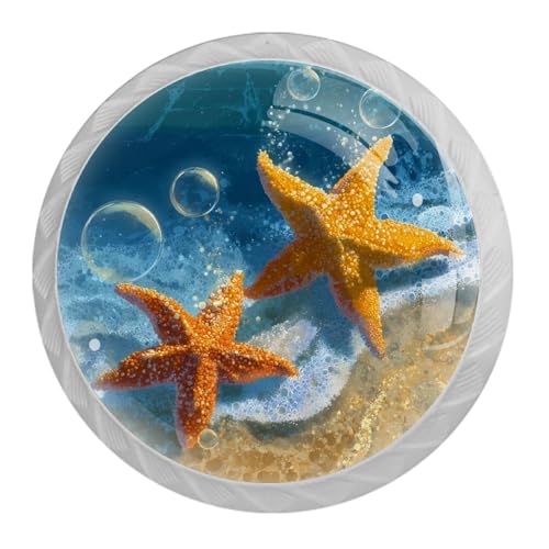 NEWzone 4pbN zCgLrlbgmu r[`qgfohbT[v 35mm EhLrlbg hbT[/Lb`/HI/[h[u/N[[bgp lWt