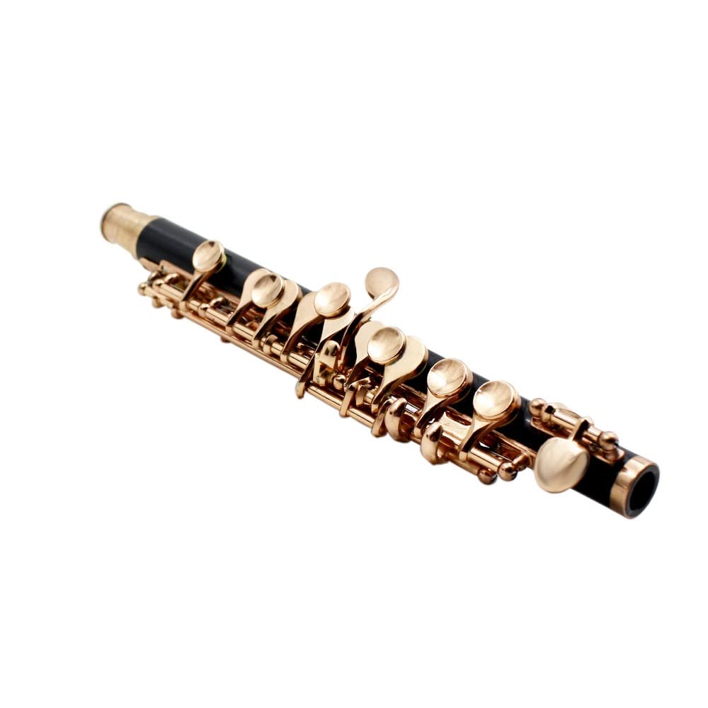 Piccolo con Llave C De Resina De Oro Negro, Garantía De Sonido, Instrumento Musical Piccolo, con Estuche, Varilla De Afinación Y Tela, For Principiantes