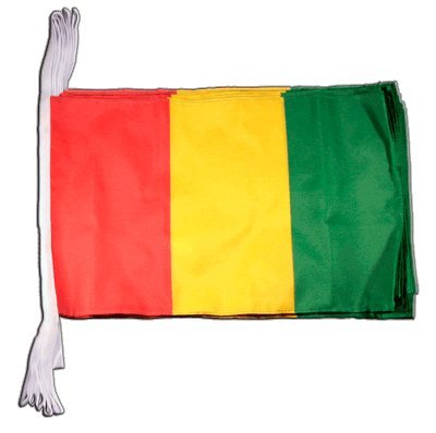 Guirlande Guinée en tissu de 8,9 m Digni suspendue pour pavoisement public