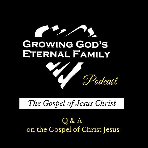 PART 17: Q & A on the Gospel of Christ Jesus cover art