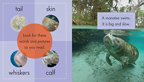 Manatees 1645491110 Book Cover