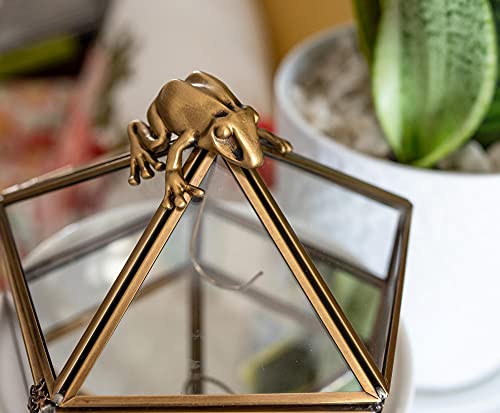 Ukonic Harry Potter Gold Chocolate Frog Jewelry Box Organizer Display Case Container | Jewelry Dish Trinket Tray For Necklaces, Rings, Bracelets | Home Decor Room Essentials | Wizarding World Gifts