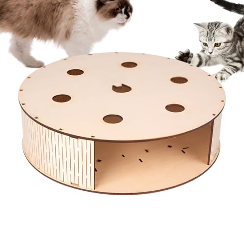 Connessione Giocosa: I giochi interattivi per gatti stimolano l'istinto di caccia felino aumentando il movimento, migliorando il tra proprietario e animale per un benessere generale ottimizzato attraverso attività coinvolgenti