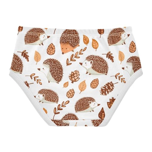 Cute Hedgehog Toddler Girls's Underwear 2T 23018912