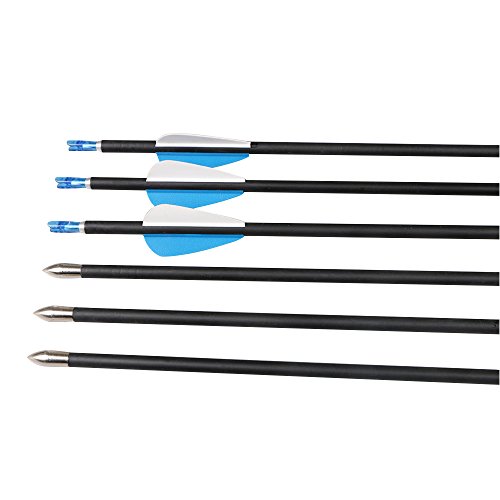 6PK Archery 800 Spine 6mm Carbon Arrows Recurve Bow Target Arrow Steel Field Points