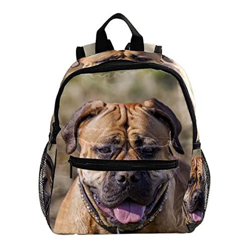 Sac à dos pour garçons et filles motif coquillages 30cm idéal pour l'école maternelle et le sport