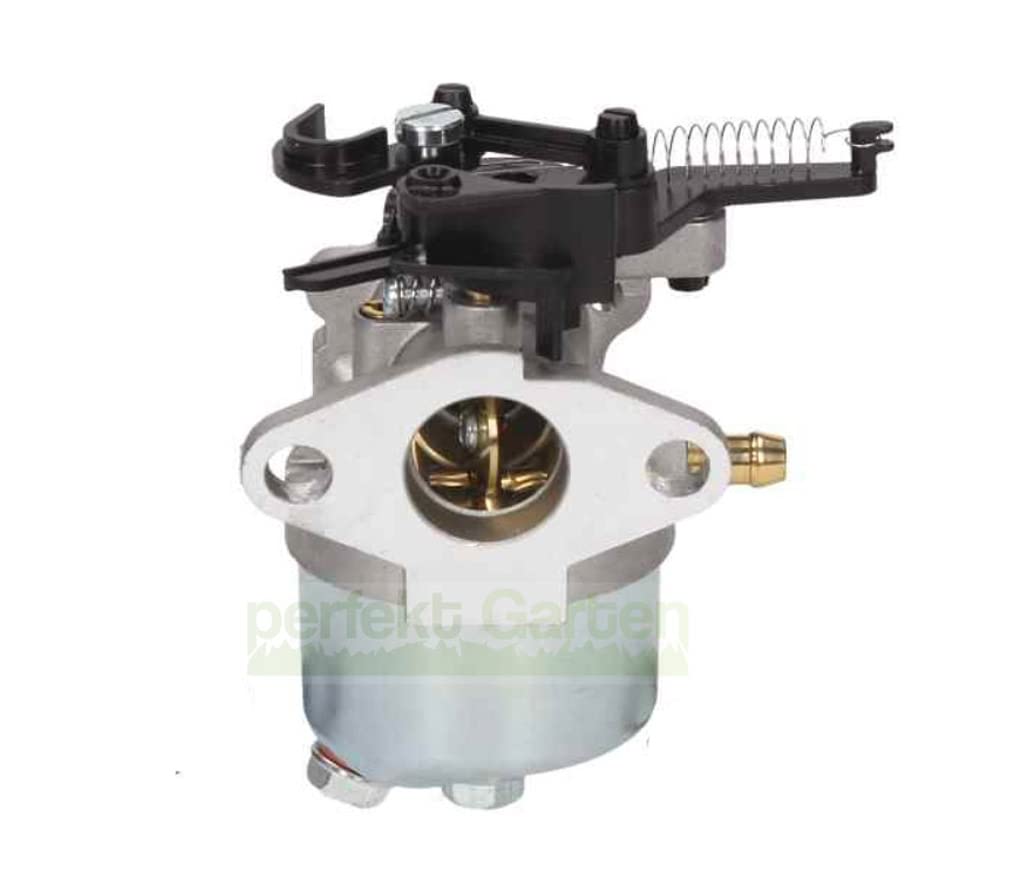 Carburatore compatibile B&S Serie 700 750 DOV 591852 793463 793493 595509