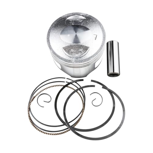 �I�[�g�o�C�V�����_�[���i�s�X�g�������O�L�b�g�Z�b�g DR200 DR200SE SP200 DF200 RV200 V-anVan S-�W���{�A�T�C�Y 66 �~�����[�g��