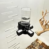 Jumping Spider Water Dispenser, Magnetic Hanging Feeder,Suitable for Jumping Spiders,Tarantulas, Praying Mantises,Arboreal Animals, and Other Small Animal Enclosure Accessories (Black, 5ML)