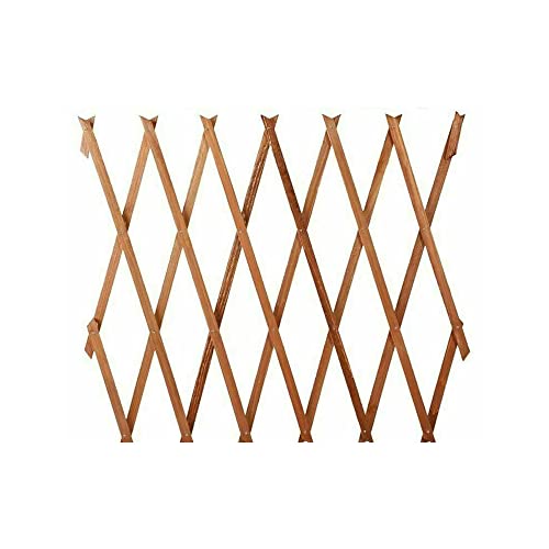 St@llion Treillis en Bois Brun Clair Extensible de 1,5 x 0,3 m pour Plantes grimpantes, Lierre, Rose, Concombre, clématite pour décoration intérieure et extérieure (Lot de 1) Cover