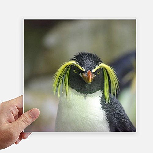 Pegatinas cuadradas impermeables de 20cm para moto y pared con diseño de pingüino 2