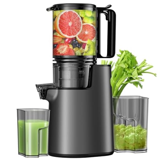 Professional Cold Press Juicer Machine