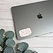 Swaygirls Christian sticker | Proverbs 31 decal | She is clothed with strength & dignity | Bible verse stickers | Bible journaling sticker