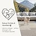 the carpet Santo Plus Outdoor Teppich – Wetterfest & Pflegeleicht, Balkon Teppich, Terrasse & Garten, Flachgewebe Indoor & Outdoor, Modern für Wohnzimmer & Schlafzimmer, Creme, 120 x 160 cm