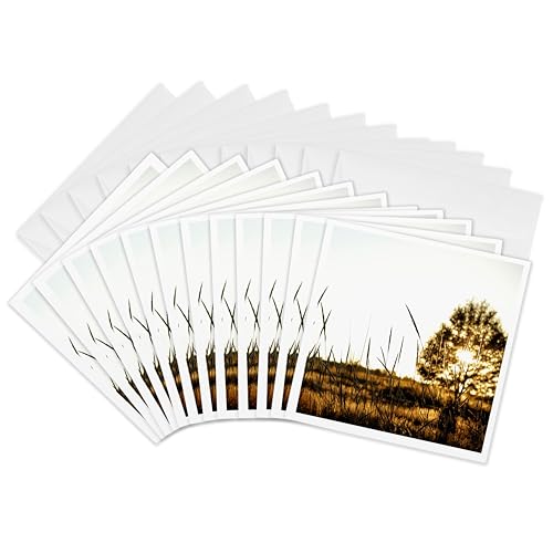 Cartes de vœux coucher de soleil impression photo haute définition 3dRose