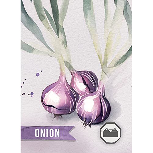 Pencil First Games Delicious Card Game - An Artful Flip-And-Write Gardening Game With Fruits And Vegetables Games For 1-100 Players #TOP7