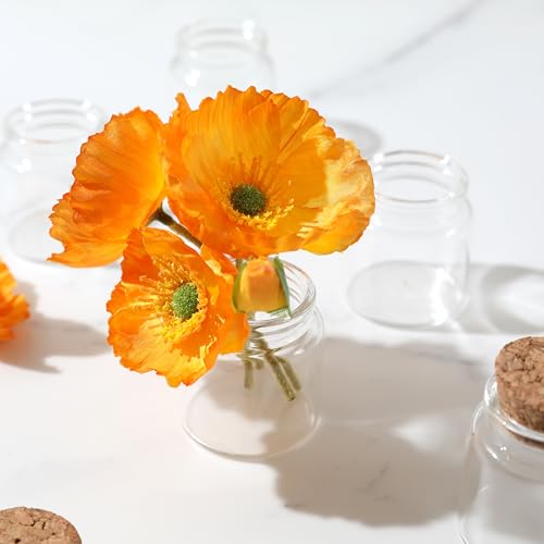 Magic Season Decorative Round Glass Bottles with Cork Stoppers (2 Pcs / 1.7 fl oz.)