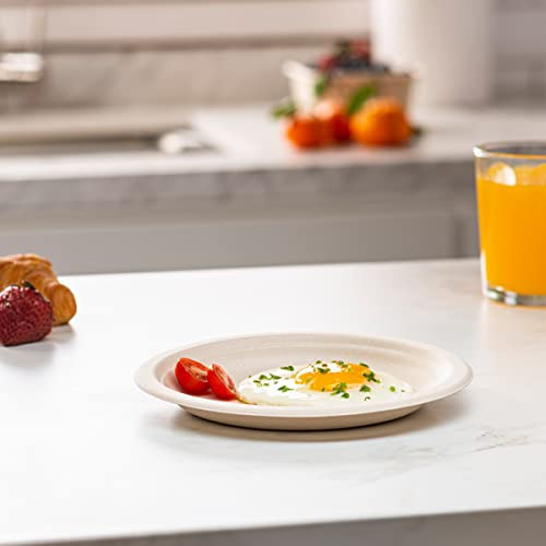 100% Compostable 7 Inch Heavy-Duty Plates [125 Pack] Eco-Friendly Disposable Sugarcane Paper Plates - Brown Unbleached #TOP2