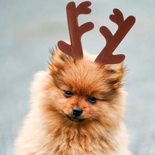 Diadema de Navidad para mascotas con astas POPETPOP miniatura 4