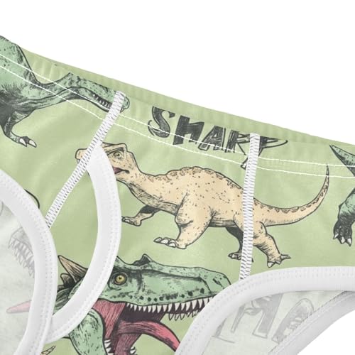 Wusikd Dinosaurs Vintage Boys' Underwear Cotton Sharp Teeth Boys Briefs Soft Toddler Underwear 2T4