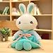 47-B Chinesische Kleidung Kleine Kaninchen Kaninchen Plüschtier Kindertagesgeschenk Kleidung Abnehmbare Tiersimulation Hasen Super Weiche Kissen Kissen (Color : Green-B, Size : 60CM)
