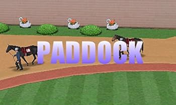 Amazon.com: Nintendo the Derby Stallion GOLD (first purchase