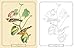 Audubon Birds Coloring Kit: Includes a 64-Page Book, 6 Frameable Coloring Prints and 10 Pencils (Sirius Coloring Kits)