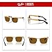 Ray-Ban RB3875 Wayfarer Deluxe 927631 56MM Sandblasted Legend Gold/Crystal Lens Brown Square Sunglasses for Men for Women +Bundle with Accessory Eyewear Kit
