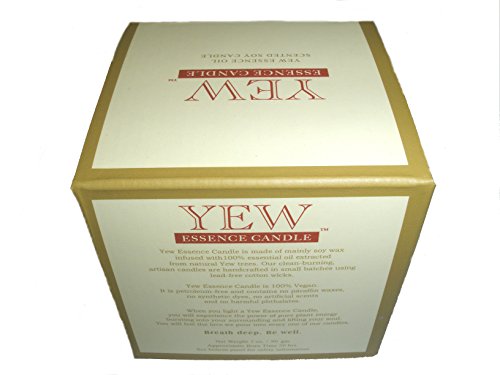 Yew Essence Scented Aromatherapy Candle (1, Small)