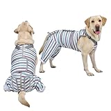 Arblina Hundebody Nach OP, Atmungsaktiv Hund Recovery-Anzug für Hinterbeine, OP Body Hund für Kleine/Mittlere/Große Hunde, Männlich/Weiblich Hunde Onesie Nach der Operation, Blau L