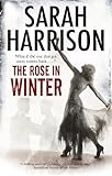 The Rose in Winter
