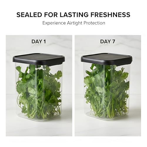 Image of Plastic Airtight Containers Set For Kitchen Storage And Containers Box For Pantry Organization And Container (4X350ml+4X650ml+4X950ml, Black And Transparent) Set of 12