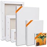 Le cadeau parfait : le set de châssis à clés offre une stabilité des couleurs et une qualité tactile exceptionnelles, ce qui en fait un excellent cadeau pour les artistes, les débutants, les enfants et les étudiants en art.