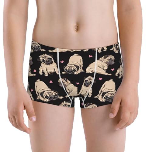 Boys' Cotton Boxer Brief Soft Underwear-French Bulldog