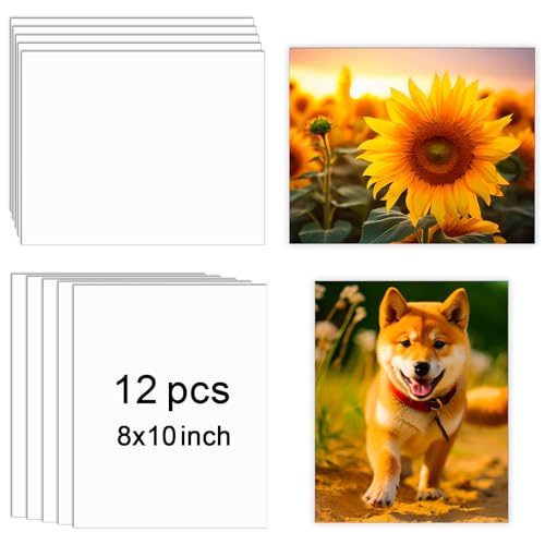 LIZOIDZSM 12 Pcs Sublimation Photo Blanks 8 x 10 Inch sublimation metal sign blanks Aluminum Photos Sign Blank Photo DIY Photos Sign Wall Frame Poster for...