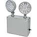 Morris Products Remote Capable LED Emergency Light ? Cold Weather, Wet Location ? Energy Saving Lighting Unit, Compact Design ? Mounting Brackets ? Fully Adjustable, Glare Free ? 9.6 Volts