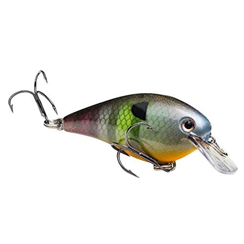 Strike King HCKVDS1.0-651 KVD Square Bill 1.0 Neon, Unisex Adulto, Neón Bluegill