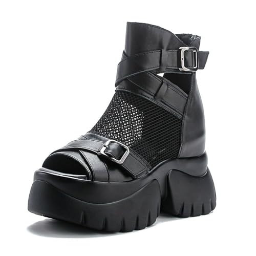 [`GOC] u[cT_ fB[X u[T T_  bV T}[u[c EGbW\[  I[vgD  t 9cmq[ obOWbp[ r ItBX y ₷  ubN L 24.5 cm OL rW