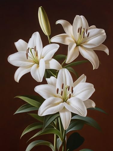  G LbghG h DIYG fW^G [ p^[fUC, yCgoCio[ SҌ ȒP paint by numbers uVƃANG̋, z[ ItBX 90X120cm, Model 814