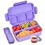 4 Compartments-purple