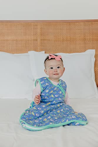 Image of Copper Pearl Baby Sleep Sack, Birdie - Wearable Blanket for 18-24 Month, Sleeveless Sleep Sack for Baby Boy or Girl