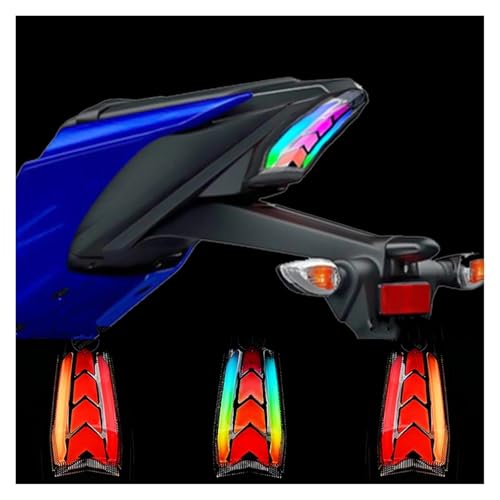 Feu arrière de moto étanche sans buée adapté aux YZF R125 2019-2023 - 3