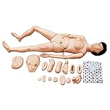 Mutterschaftspflege-Simulator, multifunktionaler Dummy, weibliche Kunststoff-Person, Prolaktinist, Training, Brust, menschliches anatomisches Modell, Training, Unterricht, Bildungsbedarf